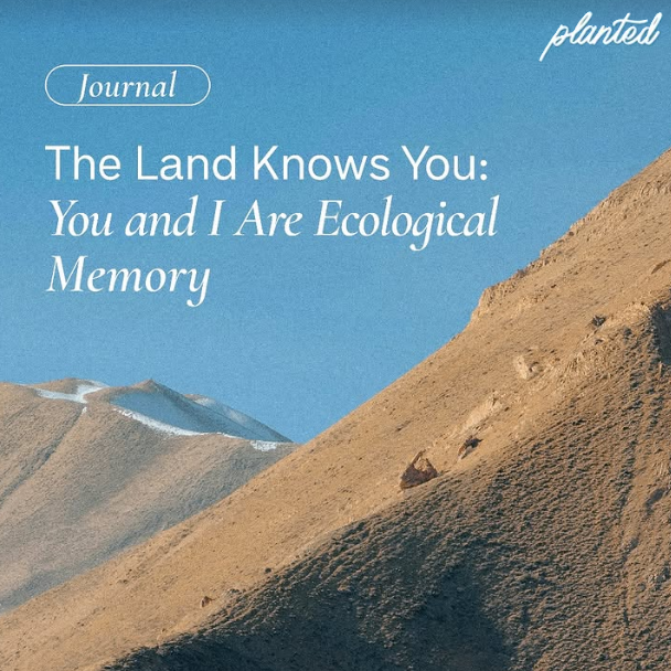 Planted Journal -The Land Knows You Cover image by Annie Mirza